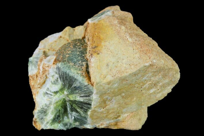 Radiating, Green Wavellite Crystal Aggregation - Arkansas #135968